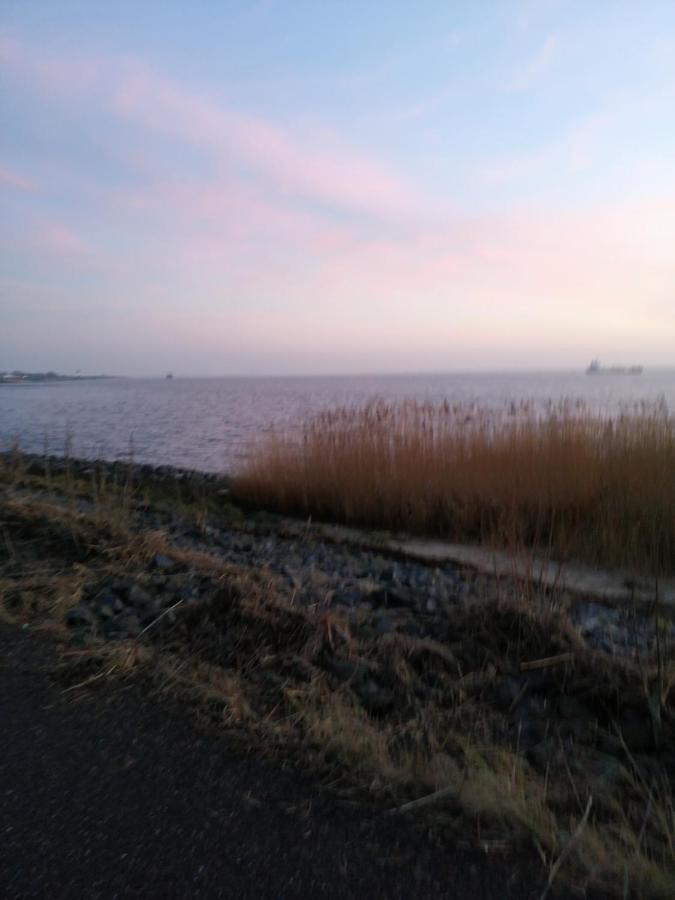 Richters Deich-oase